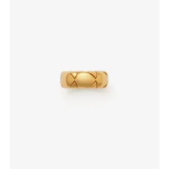 Anillo con segmento de escudo
