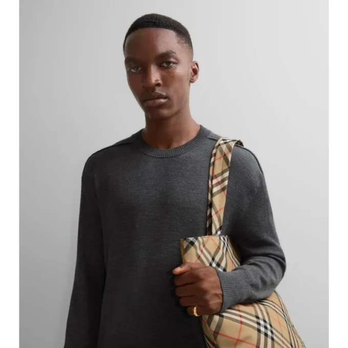 Anillo con segmento de escudo Anillo con segmento de escudo