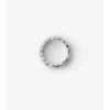 Anillo con segmento de escudo Anillo con segmento de escudo