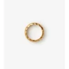 Anillo con segmento de escudo Anillo con segmento de escudo