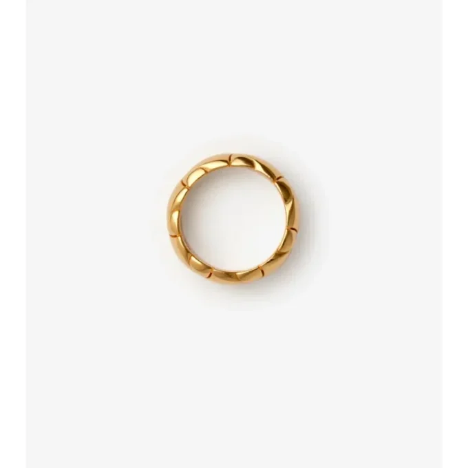 Anillo con segmento de escudo Anillo con segmento de escudo