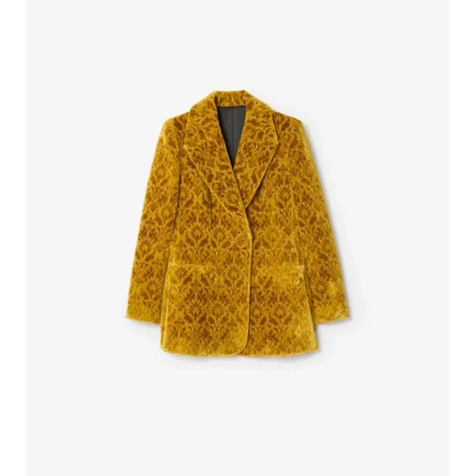 Blazer de terciopelo barroco Blazer de terciopelo barroco