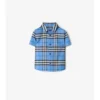 Camisa de algodón Oxford a cuadros Camisa de algodón Oxford a cuadros