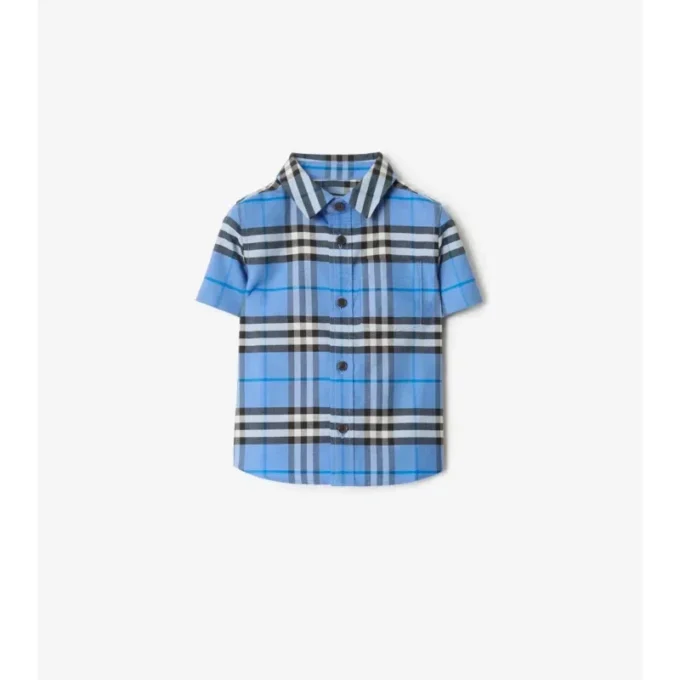 Camisa de algodón Oxford a cuadros Camisa de algodón Oxford a cuadros