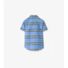Camisa de algodón Oxford a cuadros Camisa de algodón Oxford a cuadros