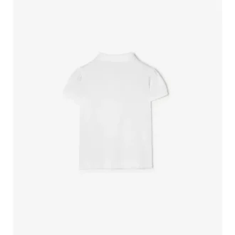 Camisas de algodón
