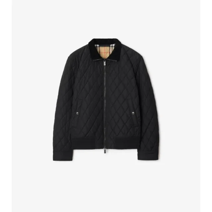 Chaqueta acolchada de nailon Chaqueta acolchada de nailon