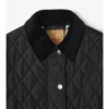 Chaqueta corta de nailon acolchada
