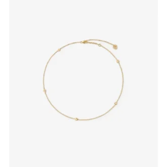 Collar con cadena y escudo