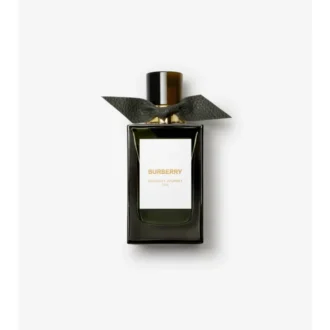 Eau de Parfum Midnight Journey de Burberry Signatures, 100 ml