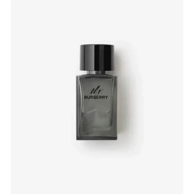 Mr. Burberry Eau de Toilette 100 ml Mr. Burberry Eau de Toilette 100 ml